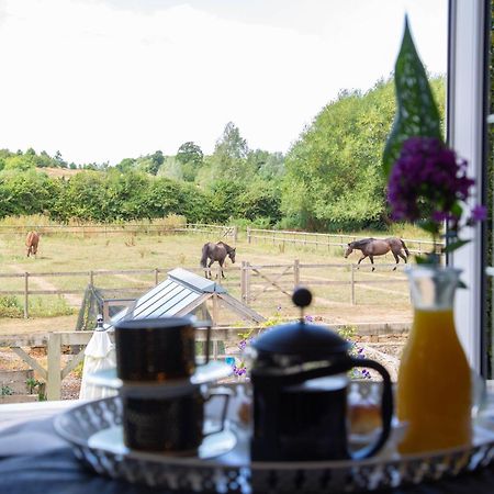 Cherry Orchard Farm South Wraxall Quarto foto